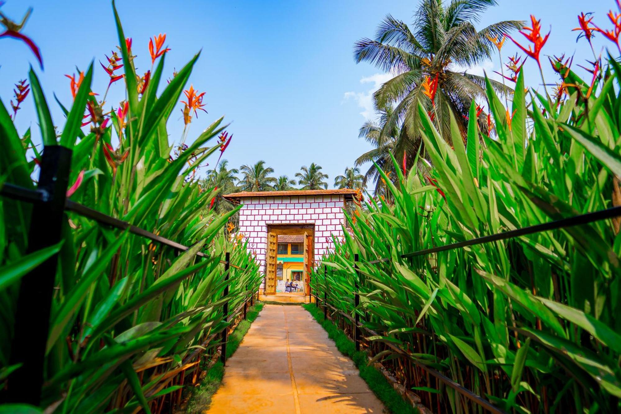 Orange Sky Beach Bungalow Agonda Exterior photo